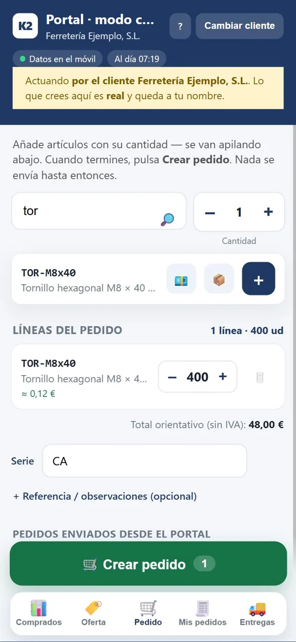 Pedido de un cliente de ejemplo con una línea y su serie
